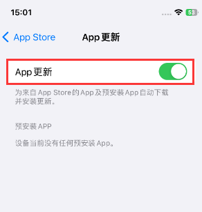 河口苹果15维修中心如何让iPhone15APP自动更新