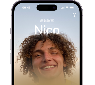 河口苹果15服务站分享iPhone15实时语音留言开启方法 