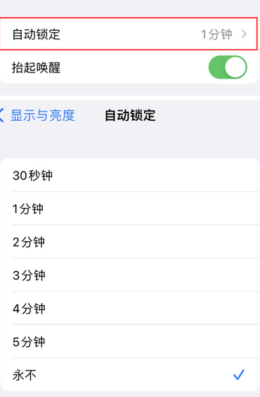 河口苹果换屏维修分享无法调整iPhone自动锁屏的时间怎么办